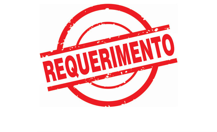 Requerimentos apresentados na 13ª Reunião Ordinária, em 11 de maio de 2021